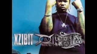 xzibit alcoholic [upl. by Irrak]