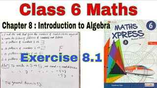 Class 6 Maths Xpress Chapter 81  Class 6  Maths Xpress  Introduction to Algebra  Chapter 8 [upl. by Garek]