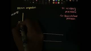 NERVE IMPULSE GRAPH  MDCAT SERIES  CLASS 12  CHAPNERVOUS COORDINATION [upl. by Devondra]