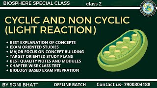 CYCLIC AND NON CYCLIC PHOTO RESPIRATION  LIGHT REACTION PLANT PHYSIOLOGY biology neet class11 [upl. by Dael]