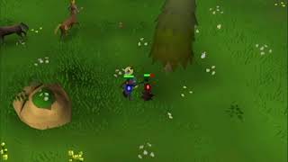 OSRS Farming Guy II He Can be a Certified Hero 14 [upl. by Clement512]