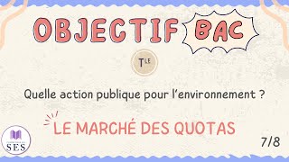 BAC Cours Environnement  Le marché des quotas [upl. by Gnuhn]