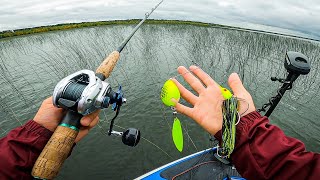 Minnesota Musky Fishing TOURNAMENT Fishing DEEP In The Reeds For Muskie [upl. by Odraboel]