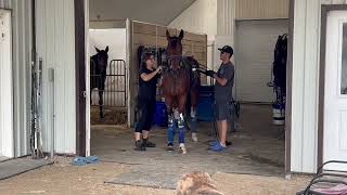 OwnAStandardbred Fractional Ownersip Group July 2024 [upl. by Bonneau]