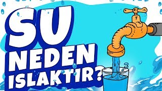 Su Neden Islaktır [upl. by Peednama]