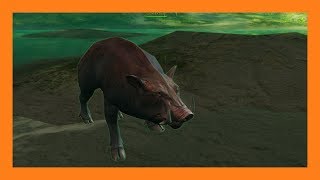 Guild Wars 2  Boar Pet Locations [upl. by Cristin]