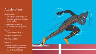 Acceleration vs Maximum Velocity Sprinting  Differences and Similarities in Movement and Technique [upl. by Adallard]