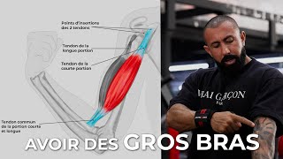 COMMENT AVOIR DE GROS BRAS  BICEPS [upl. by Candy587]