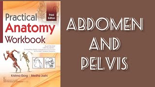 Anatomy practical filled workbook Abdomen and pelvic part 〽️ [upl. by Costin]