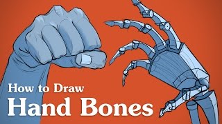 How to Draw Hand Bones  Drawing Anatomy for Artists [upl. by Salome]