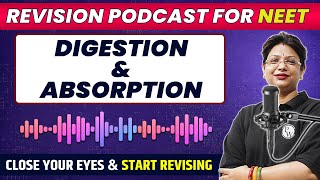 DIGESTION AND ABSORPTION in 39 Minutes  Quick Revision PODCAST  Class 11th  NEET [upl. by Domineca115]