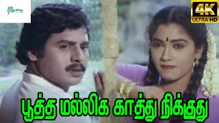 Pootha Malliga Kathu Nikkuthu  பூத்த மல்லிக காத்து நிக்குது SJanaki  H D Solo Song [upl. by Shantha]