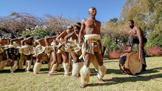 Zulu Dance Explosion A Powerhouse of Tradition and Agility in Every Step 🕺💃 [upl. by Suckow]