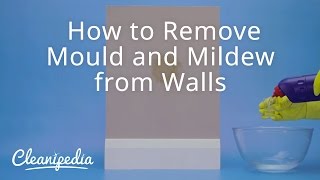 How to Remove Mould and Mildew from Walls [upl. by Htiek452]