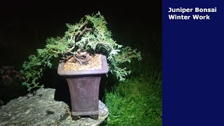 Juniper Bonsai Winter Work And Rethinking Styling [upl. by Dorette]