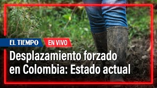 Estado actual del desplazamiento forzado en Colombia  El Tiempo [upl. by Abey]