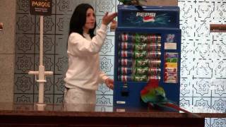 Parrot show at Loro Parque Tenerife [upl. by Darrell]