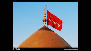 Aane Ko to Watan Mein Ab Aa Rahi He Zainab  Matami Noha [upl. by Nauqram]