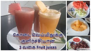 Refreshing Fresh Fruit juices in Tamil  Summer Juice Recipe தமிழ் [upl. by Acimat]