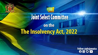 Joint Select Committee appointed to review the Insolvency Act  December 5 2024 [upl. by Allwein724]