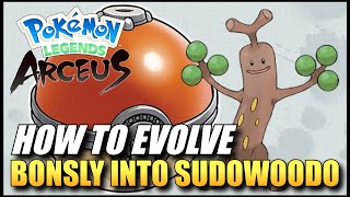 Pokemon Legends Arceus  How To Evolve Bonsly Into Sudowoodo  How To Get Sudowoodo [upl. by Drexler638]