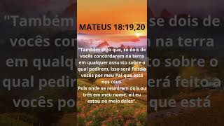 MATEUS 18 19 20  JESUS ESTÁ REUNIDO CONOSCO jesus deus espiritosanto [upl. by Luas]