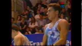 1995 Championnats de France gymnastique Villeurbanne GAMGAF [upl. by Adaiha]