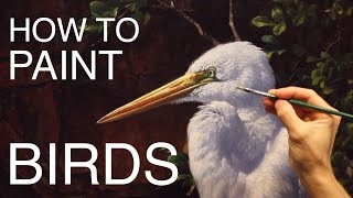 How To Paint Birds EPISODE THREE  The Egret and Brahminy Kites [upl. by Elrae568]