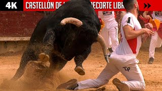 ¡RIESGO BAJO CERO CONCURSO DE RECORTE LIBRE 2022 en CASTELLÓN DE LA PLANA 4K [upl. by Ettenej]