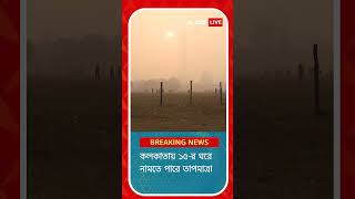 ফের বাড়বে শীত কবে থেকে পারদ পতনের সম্ভাবনা [upl. by Ratep]