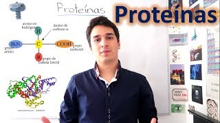 Proteínas y Aminoácidos UN MES DE CLASES EN 10 MINUTOS [upl. by Gnav]