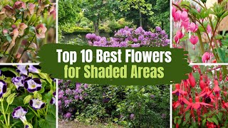 Top 10 Best Flowers for Shaded Areas 🌻🌹  PlantDo Home amp Garden [upl. by Airotel]