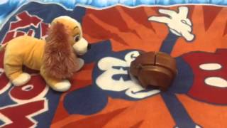 Wooden Pig Fakes Sick and Gets Grounded [upl. by Ellennad]