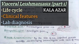 Kala azar part1  Visceral Leishmaniasis  Life cycle  Clinical features  Lab diagnosis [upl. by Ained965]