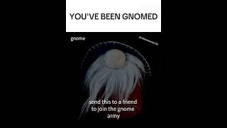 YOUVE BEEN GNOMED gnome gnomed funny memes [upl. by Fry]