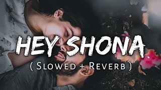 Hey Shona Slowed And Reverb  Shaan  Sunidhi Chauhan  Lofi Music Lover [upl. by Nagaer]