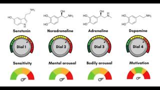 Medications and mood How the quotantidepressantsquot work THE 5 DIALS [upl. by Assirrem340]