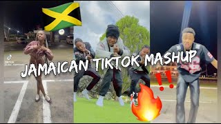 NEW JAMAICAN TIKTOK DANCE MASHUP 2024 [upl. by Crowley]