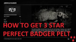 Red Dead Redemption 2 HOW TO GET BADGER PERFECT PELT  5 LOCATIONS [upl. by Alial]