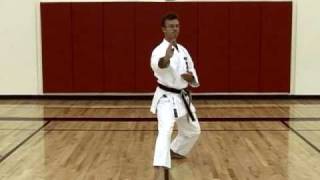 Basic Karate Blocks  Part 2 [upl. by Jamey219]