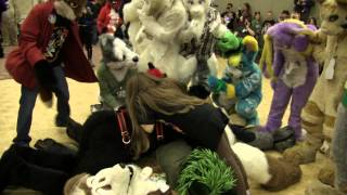 Furnal Equinox 2012  Cuddle Pile [upl. by Shinberg]