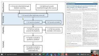 Screening Studies  Title and Abstracts [upl. by Animsaj614]