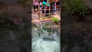 Water Spring on Kulen Mountain [upl. by Baer237]