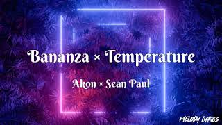 Akon × Sean Paul  Bananza Belly Dancer × Temperature 【Lyrics】 [upl. by Ingamar533]