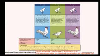 Brain and Behavior  Hormones and the Brain [upl. by Arondell]