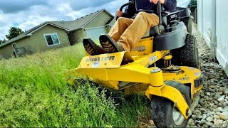 Satisfying Tall Grass Mowing  Overgrown Lawn Makeover  Stripes [upl. by Dloreg]