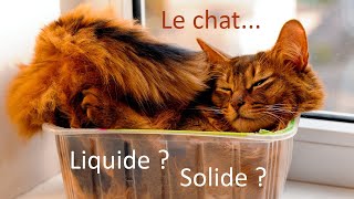 La rhéologie des chats [upl. by Yekciv]