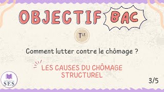 BAC Cours chômage  Les causes du chômage structurel [upl. by Jedd]