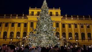 Christbaum in Schönbrunn wird illuminiert 2024 [upl. by Eizzo]