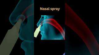 How Nasal Spray flows through your nasal passage  Nasal Spray droplets pathway medicineknowledge [upl. by Freeland912]